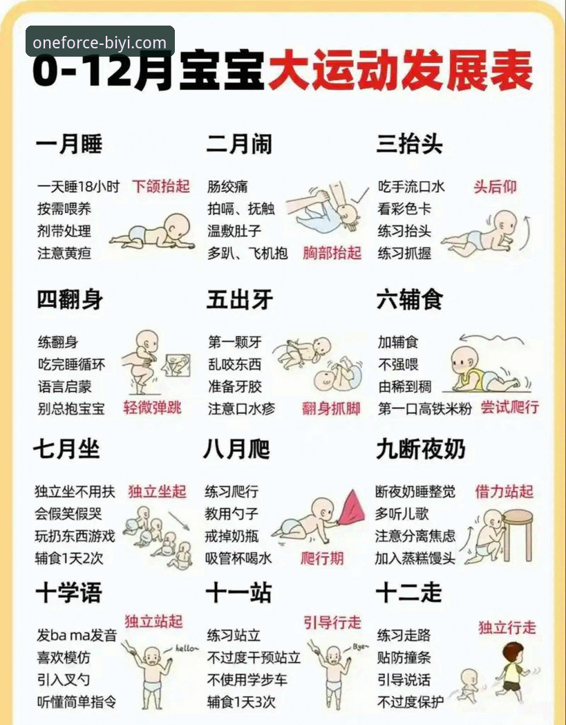 新手必看！7个步骤掌握必一运动玩法介绍教程，从入门到精通