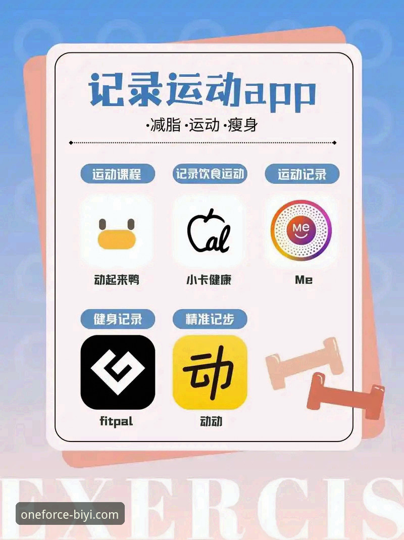 必一运动平台下载对比：官网入口 vs App版本，哪个更适合你？