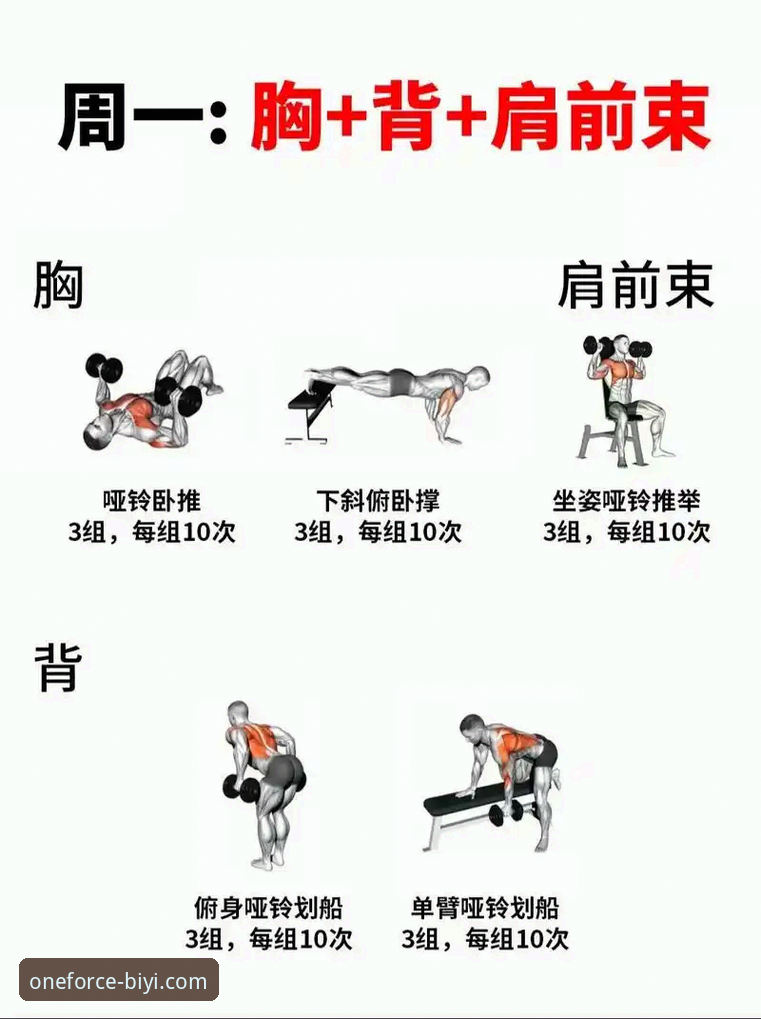 揭秘必一运动iOS版必备：资深用户私藏的五大高效玩法